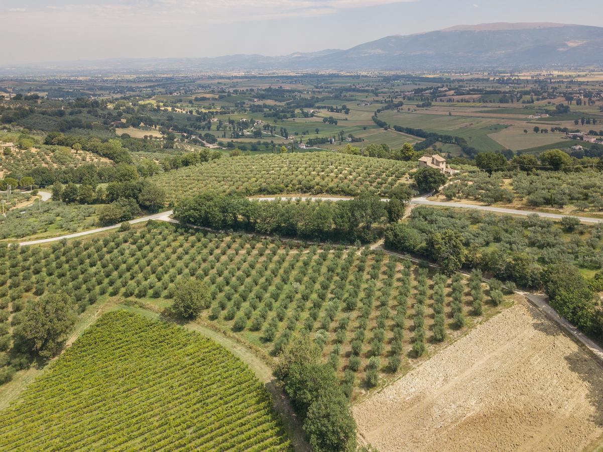 Maesta Delle Quattro Chiavi Villa Беваня Екстериор снимка